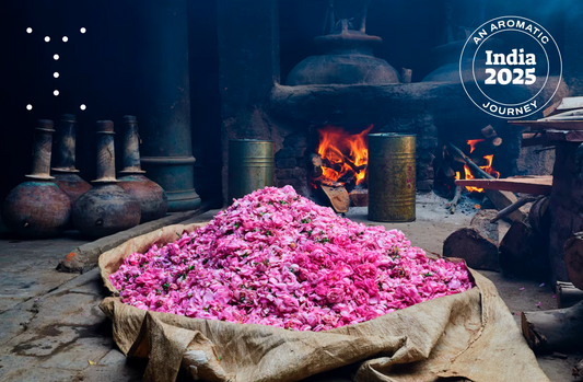 India 2025: Un Viaje Aromático