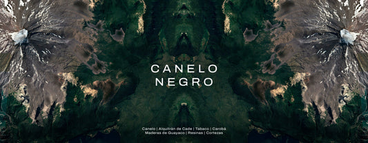 Canelo Negro: Una alquimia de fuego, madera y espíritu