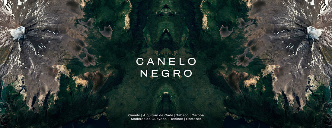 Canelo Negro: Una alquimia de fuego, madera y espíritu